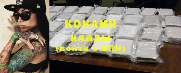 стаф Аркадак