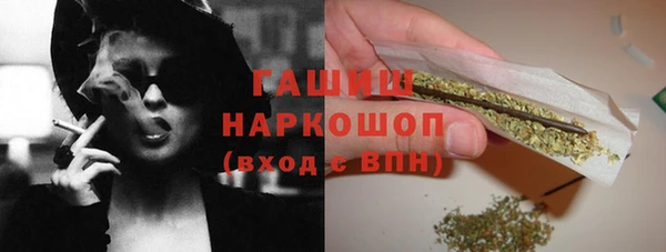 стаф Аркадак