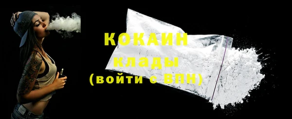 стаф Аркадак