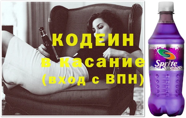 стаф Аркадак