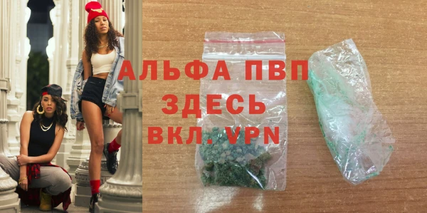 стаф Аркадак