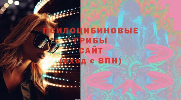 стаф Аркадак