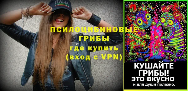 стаф Аркадак
