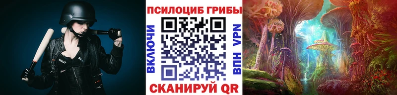 где найти наркотики  Дыгулыбгей  Галлюциногенные грибы мицелий 